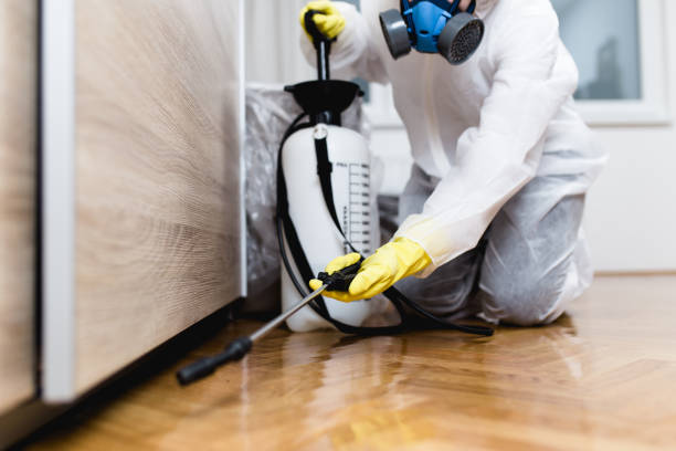Best Pest Removal Services  in South Patrick Shores, FL