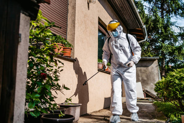 Best Pest Control Near Me  in South Patrick Shores, FL
