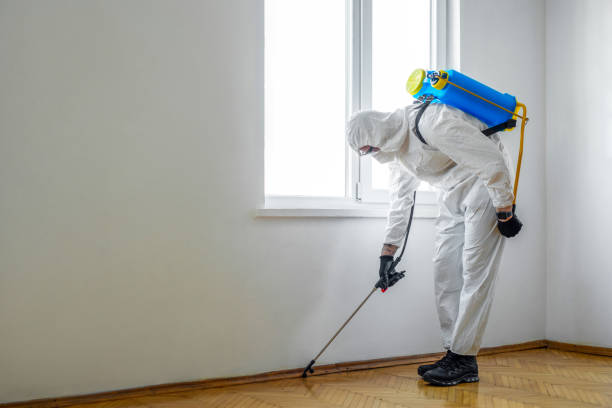 Best Affordable Pest Control Services  in South Patrick Shores, FL