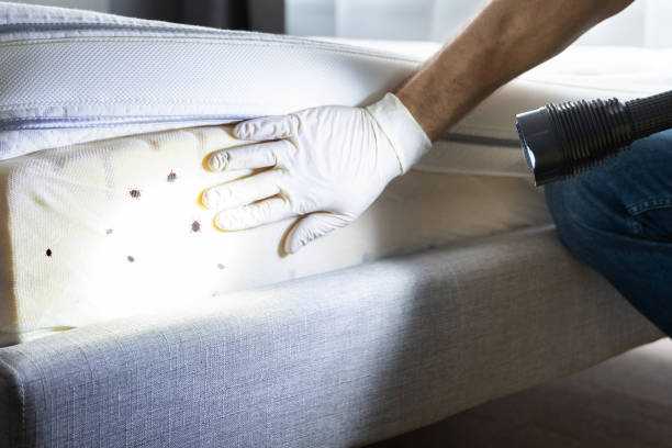 South Patrick Shores, FL Pest Control Pros
