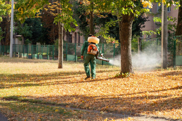 Best Cockroach Control Services  in South Patrick Shores, FL