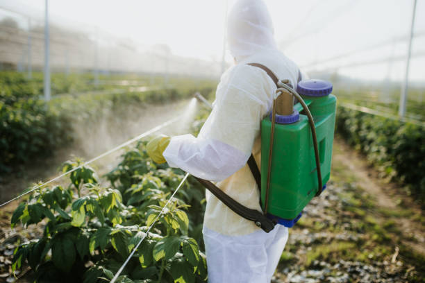 Best Wildlife Control Services  in South Patrick Shores, FL